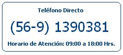 Tel&eacute;fono Directo : (56-9) 1390381